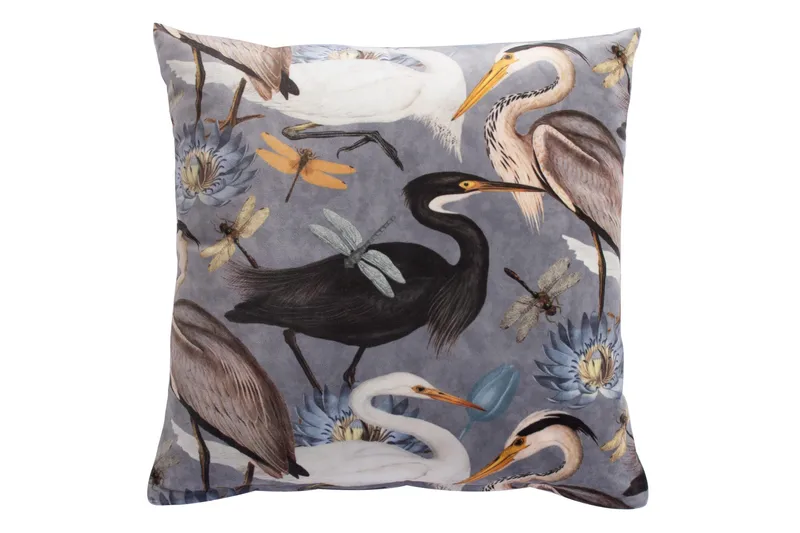 Holly pude fugle, undefined