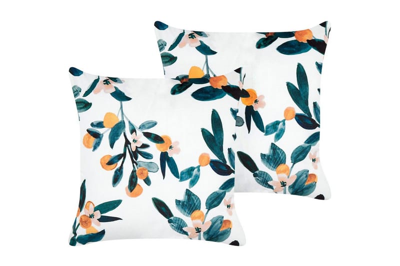 Pyntepuder Knautia sæt af 2, undefined