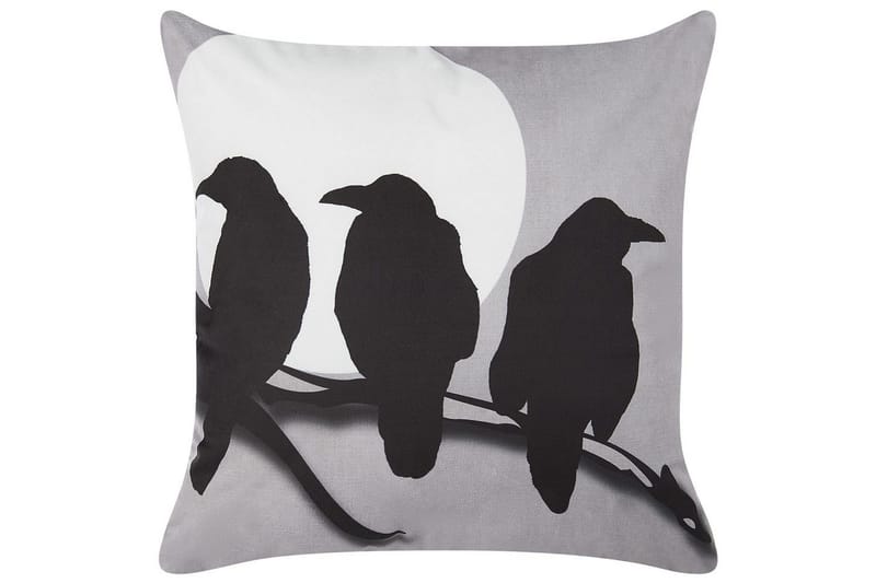 Pyntepuder Oradea, undefined