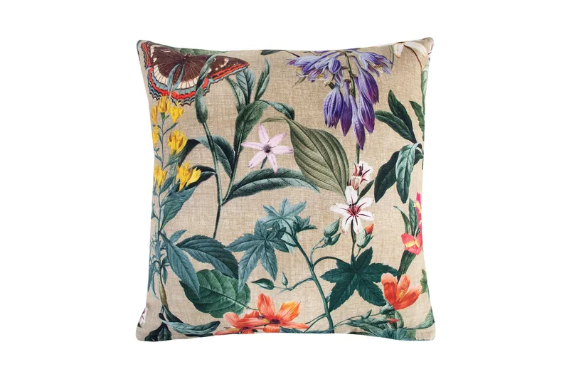 Pude Amazonia, undefined