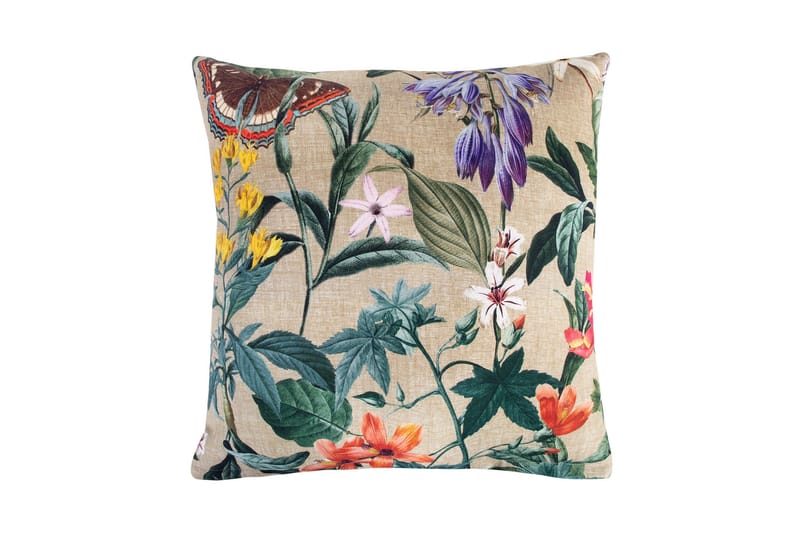 Pude Amazonia, undefined