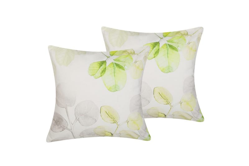 Pyntepuder Peperomia sæt af 2, undefined