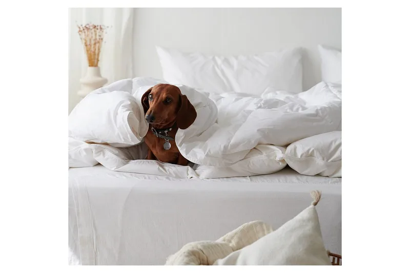 Dyne Hoteldyne 220 x 210 cm - Franzén - Tekstiler - Sengetøj - Dyne - Dobbeltdyne