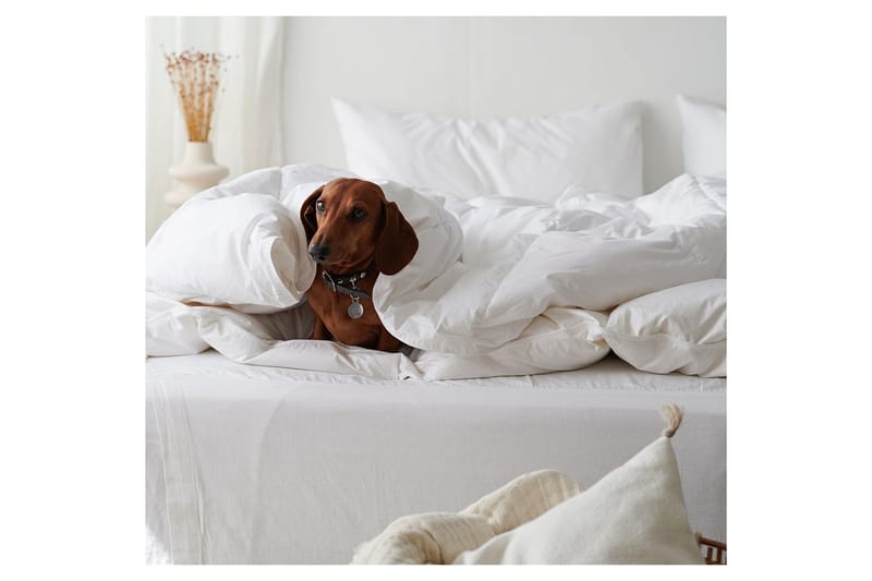 Dyne Hoteldyne 150 x 200 cm - Varm - Tekstiler - Sengetøj - Dyne