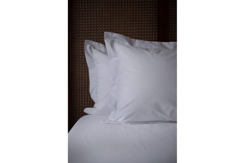 Pudebetræk Egyptisk Bomuld 50 x 60 cm Hvid, undefined