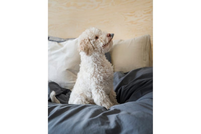 Dynebetræk Dobbelt 3-Dele Percale - Blå - Tekstiler - Sengetøj - Sengesæt & dynesæt