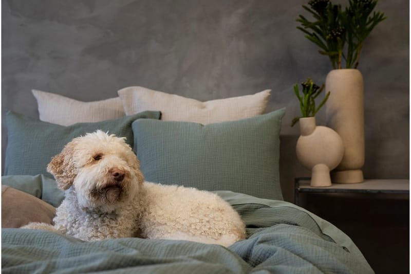 Dynebetræk Dobbelt 3-Dele Rolling - Grøn - Tekstiler - Sengetøj - Sengesæt & dynesæt - Dynesæt enkeltseng