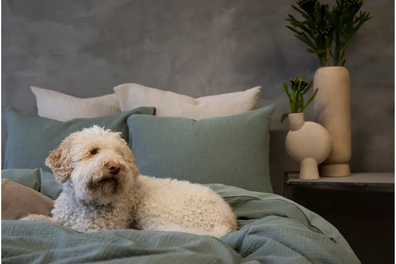 Dynebetræk Dobbelt 3-Dele Rolling - Grøn - Tekstiler - Sengetøj - Sengesæt & dynesæt - Dynesæt enkeltseng