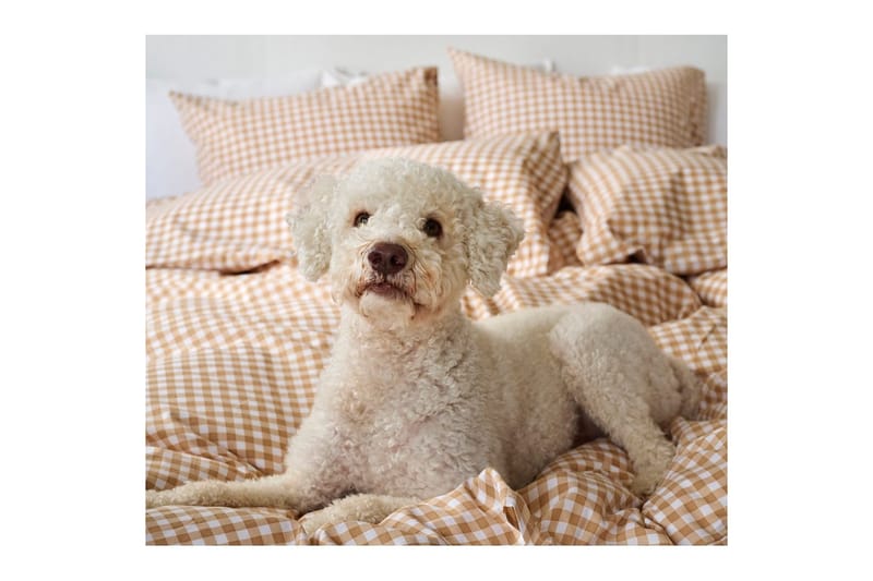 Sengesæt Enkeltseng 2-Del Märta Ruta - Gul - Tekstiler - Sengetøj - Dyne