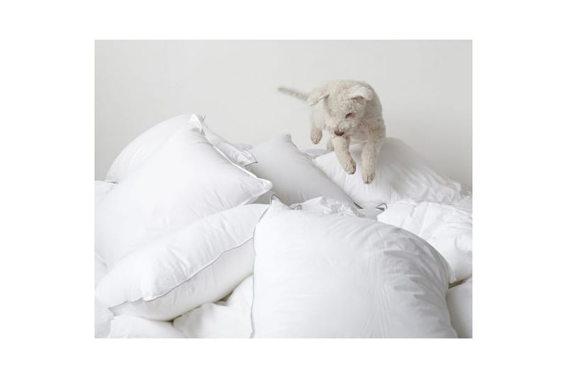 Pude Hotelpude - 65 x 90 cm - Tekstiler - Sengetøj - Sovepude - Hotelpude & aflang pude