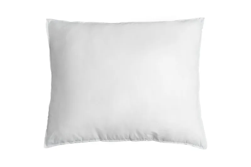 Pude 50 x 60 cm, Borganäs