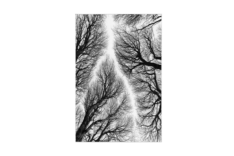 Pamjeet Badeværelsestæppe 60x150 cm Rektangulær - Flerfarvet - Tekstiler - Tæpper - Badeværelsesmåtte