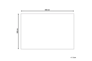 Baglar Ryetæppe 200x300 cm - Beige - Tekstiler - Tæpper - Moderne tæppe - Sisaltæpper