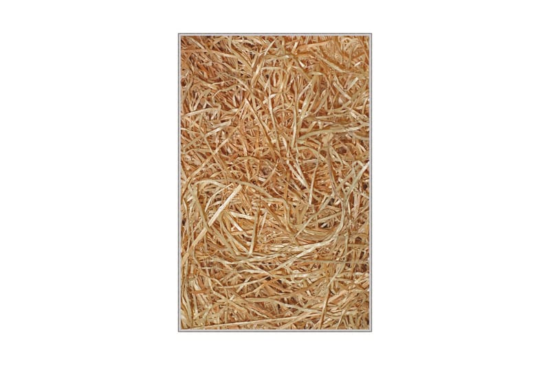 Nobuyuki Løber 80x150 cm Rektangulært - Flerfarvet - Tekstiler - Tæpper - Moderne tæppe - Gangmåtter