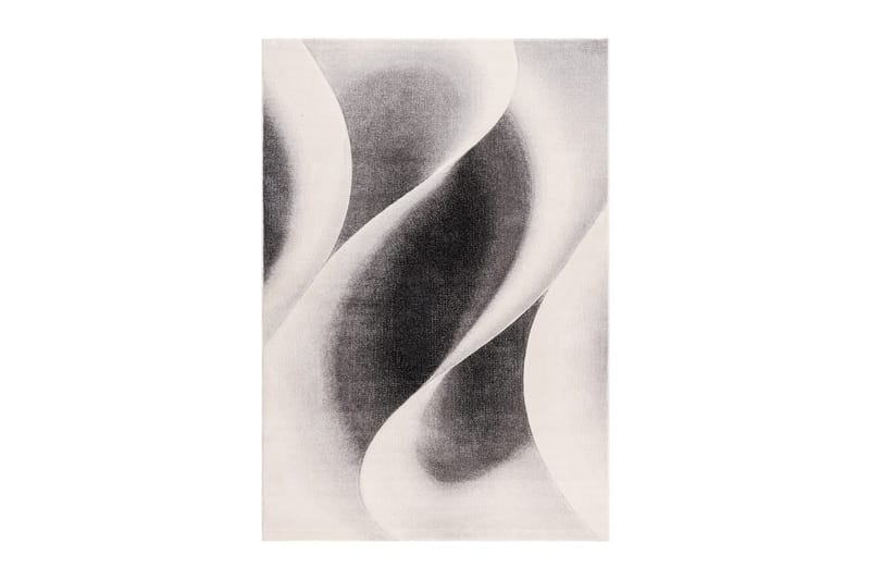 Maskinvævet tæppe Brilliance Modern - 140x200 cm, Grå - Tekstiler - Tæpper - Moderne tæppe - Wiltontæpper