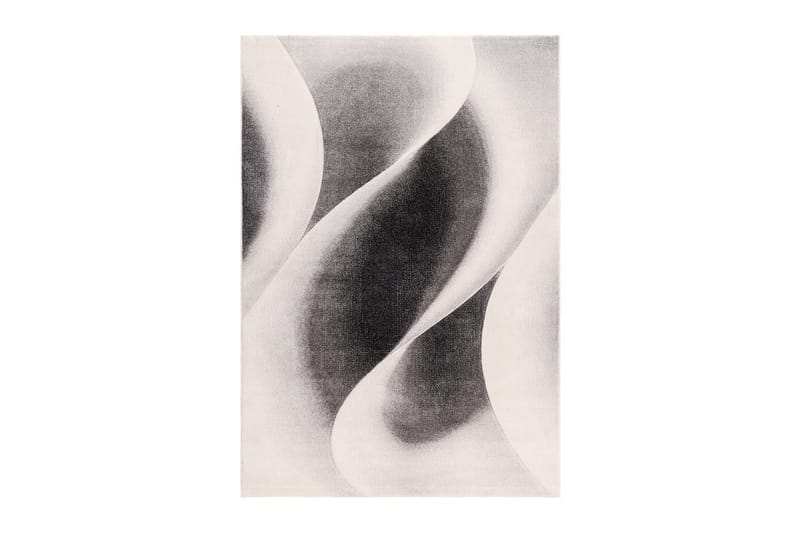 Maskinvævet tæppe Brilliance Modern - 200x290 cm, Grå - Tekstiler - Tæpper - Moderne tæppe - Wiltontæpper
