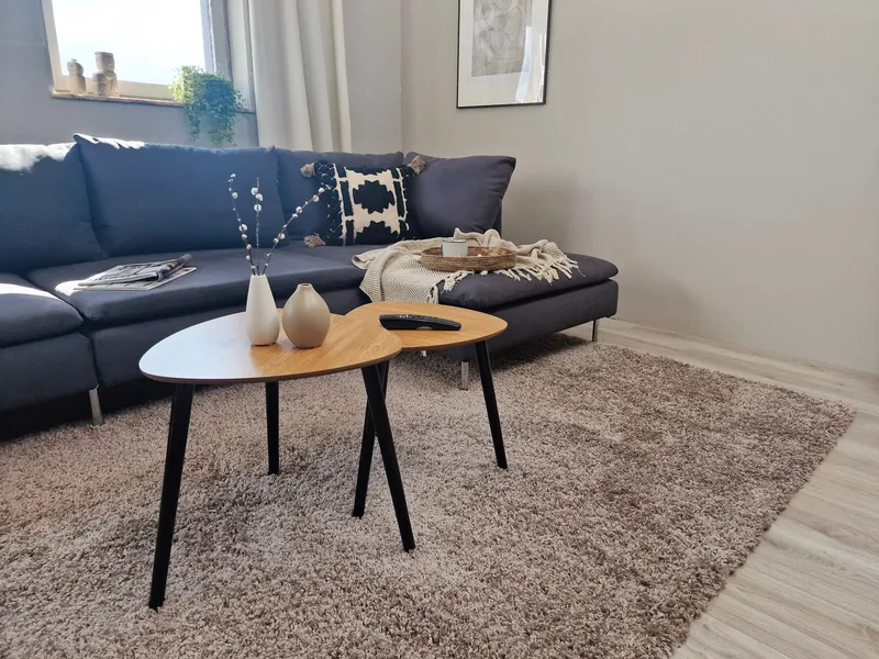 Lounge Shaggy Tæppe 160x230 cm Rektangulært - Linned - Tekstiler - Tæpper - Moderne tæppe - Ryatæpper