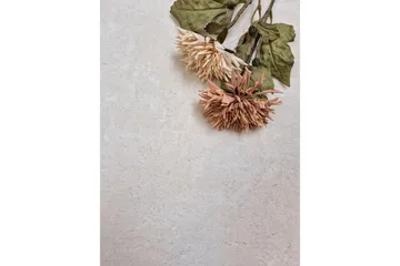 Soft Wilton-tæppe Rundt 240 cm - Hvid - Tekstiler - Tæpper - Moderne tæppe - Wiltontæpper