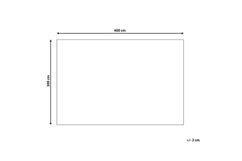 Tæppe Aspani - 300x400 cm - Tekstiler - Tæpper - Moderne tæppe - Wiltontæpper