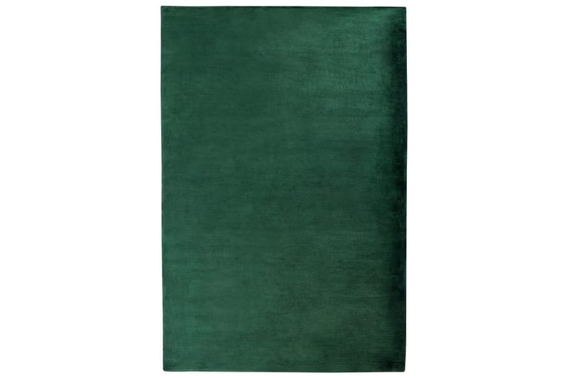 Tæppe Gesi II, Grøn, 200x300 cm