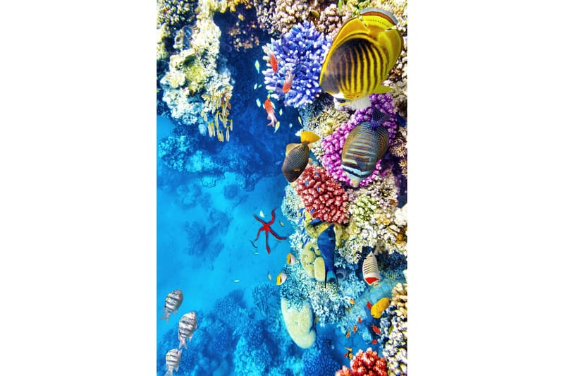 Nobuhiko Wilton-tæppe 60x100 cm Rektangulær - Flerfarvet - Tekstiler - Tæpper - Moderne tæppe - Wiltontæpper