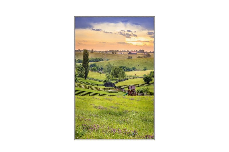 Homefesto Tæppe 140x220 cm, Multifarvet