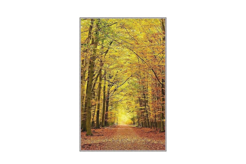 Homefesto Tæppe 180x280 cm - Flerfarvet - Tekstiler - Tæpper - Orientalske tæpper