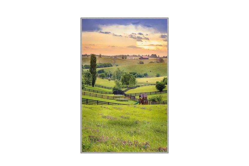 Homefesto Tæppe 180x280 cm, Flerfarvet