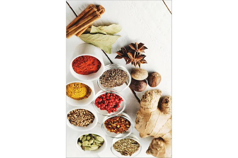 Homefesto Tæppe 180x280 cm, Flerfarvet/Velour