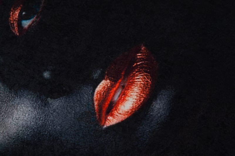 Homefesto Tæppe 80x200 cm - Flerfarvet - Tekstiler - Tæpper - Orientalske tæpper