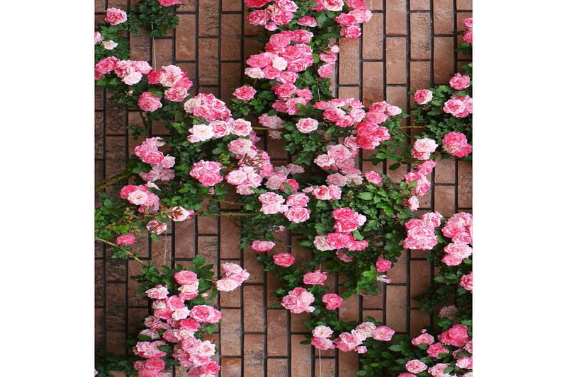 Homefesto Tæppe 80x300 cm - Flerfarvet - Tekstiler - Tæpper - Orientalske tæpper