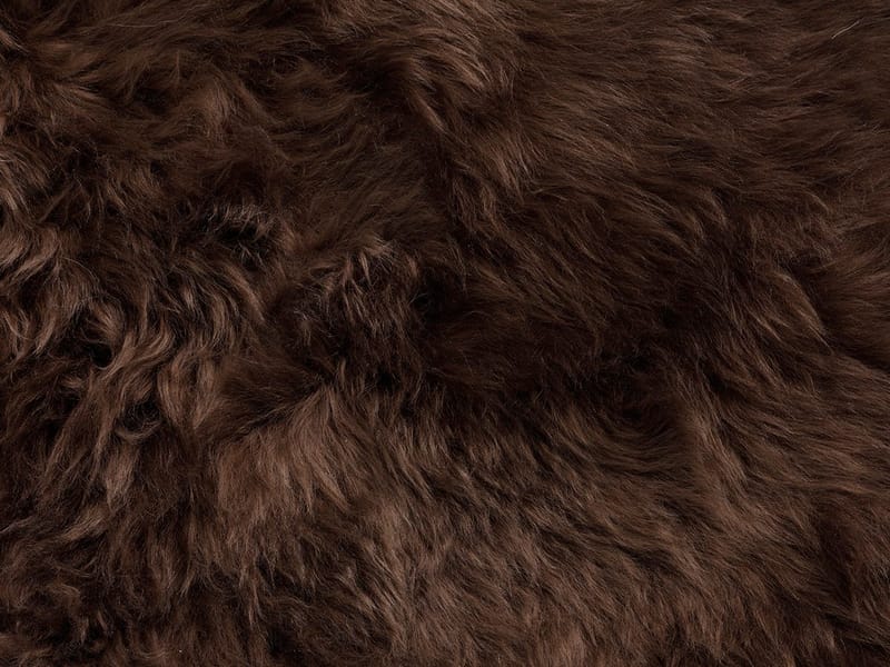 Fåreskind Hillerstorp Vilma, Brun