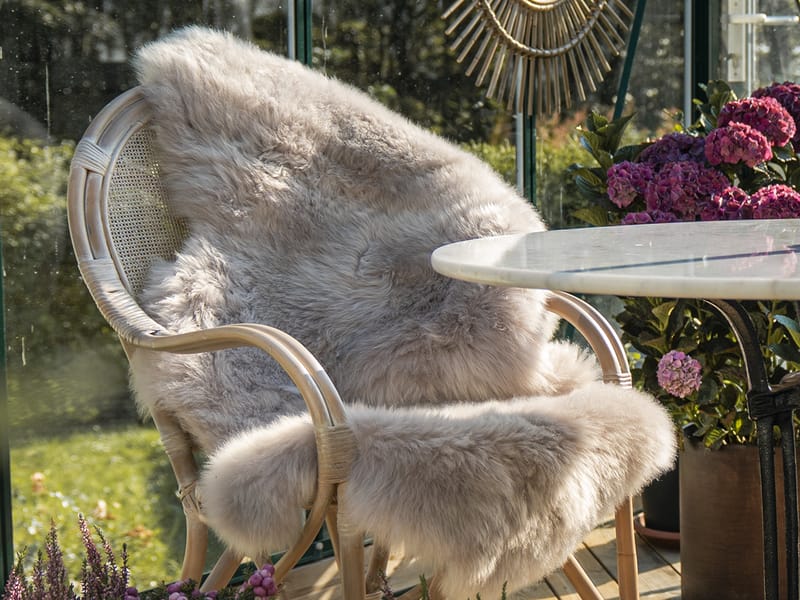 Fåreskind Hillerstorp Vilma, Grå