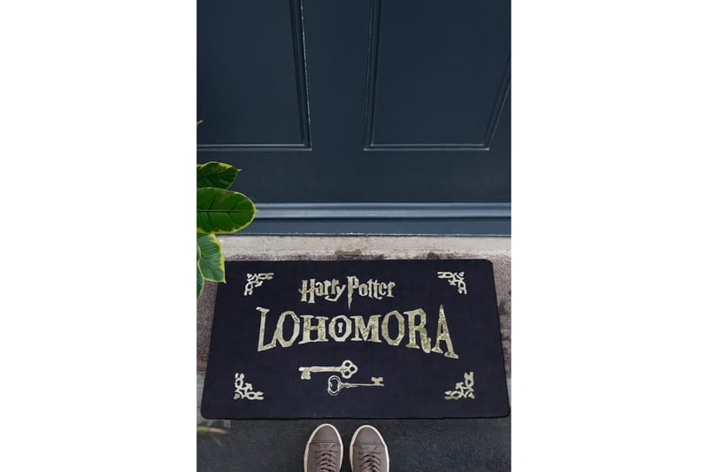 Chilai Dørmåtte 45x70 cm - PVC/Multifarvet - Tekstiler - Tæpper - Hall måtte