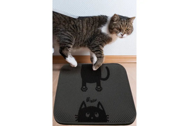 Chilai Kattesandstæppe 45x60 cm, Multifarvet