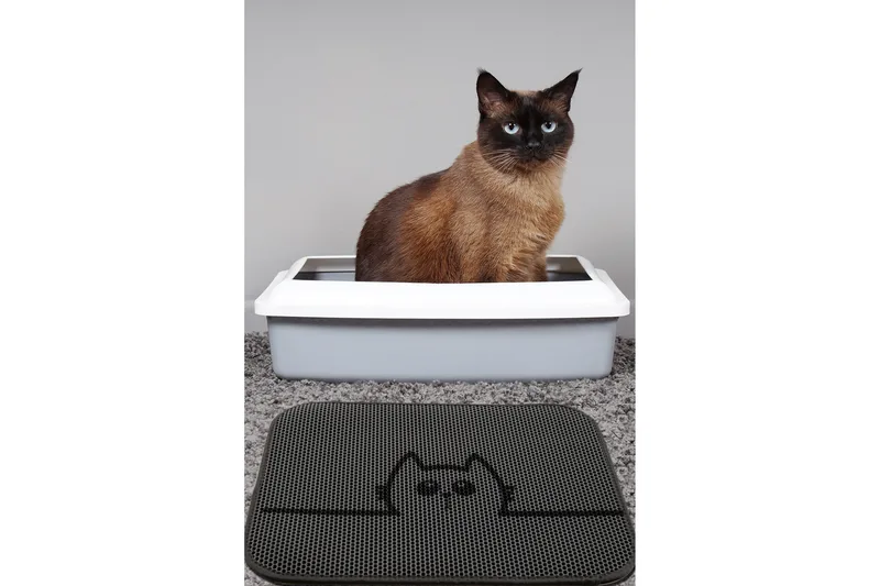 Chilai Kattesandstæppe 45x60 cm, Multifarvet