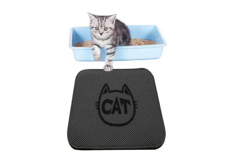 Chilai Kattesandstæppe 45x60 cm, Multifarvet