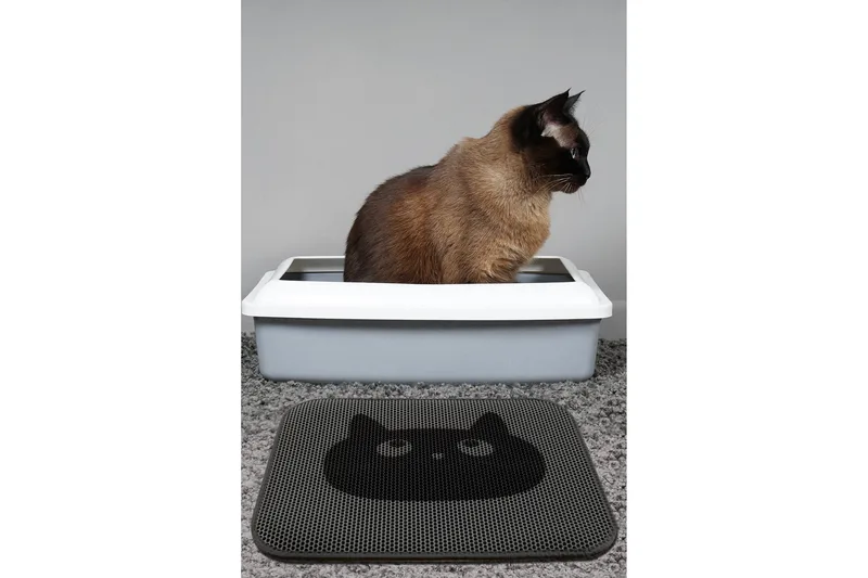 Chilai Kattesandstæppe 45x60 cm, Multifarvet