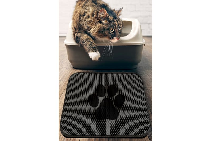 Chilai Kattesandstæppe 45x60 cm, Multifarvet