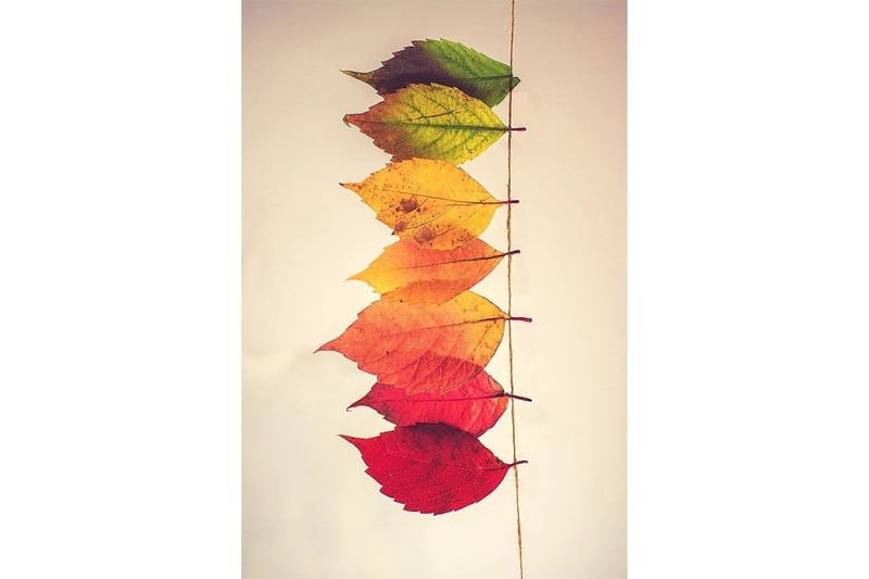 Homefesto Tæppe 60x100 cm - Multifarvet - Tekstiler - Tæpper - Moderne tæppe - Wiltontæpper