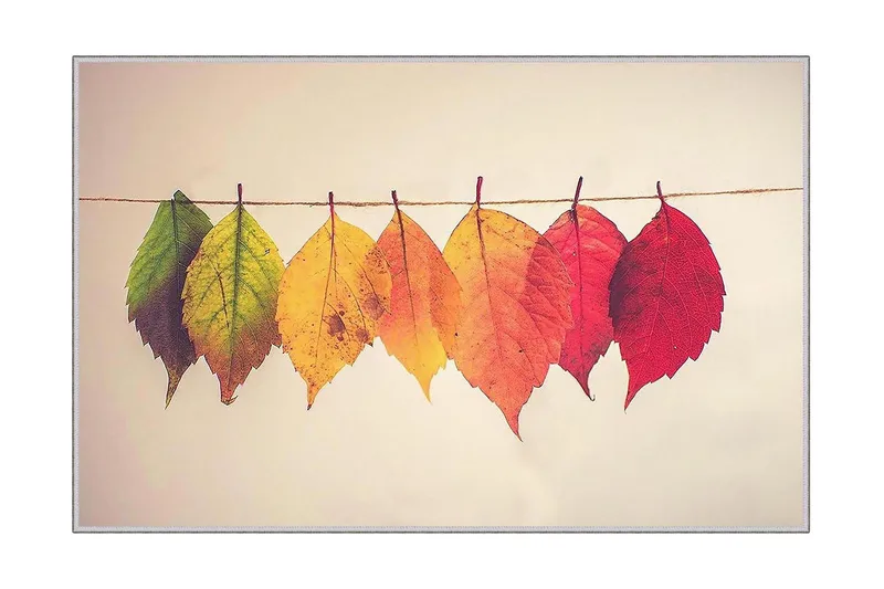 Homefesto Tæppe 60x100 cm, Multifarvet