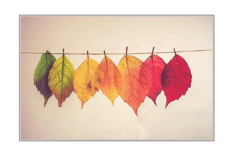 Homefesto Tæppe 60x100 cm, Multifarvet