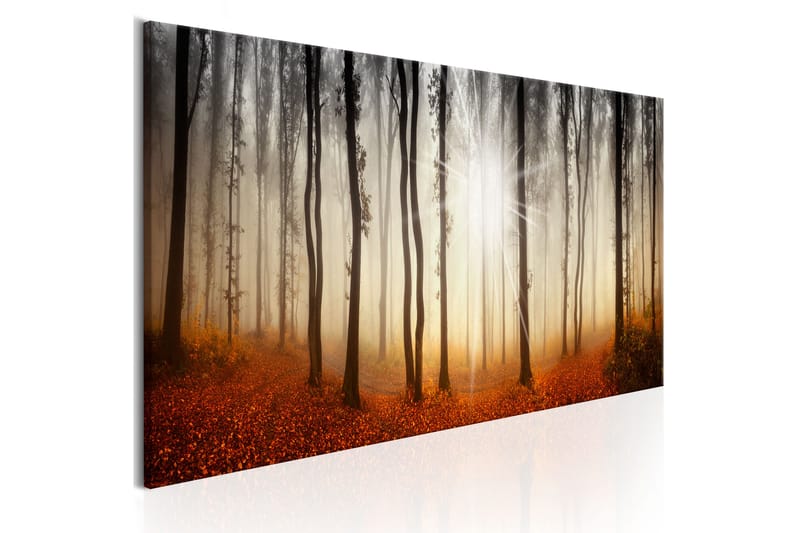 Billede Autumnal Fog 135x45, Artgeist sp. z o. o.